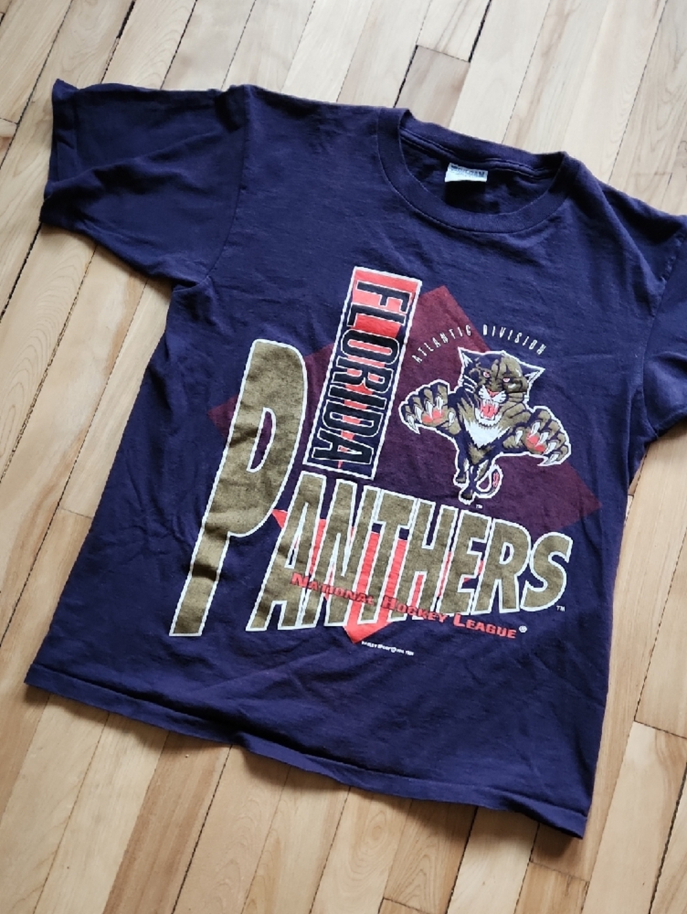 Gildan Navy Florida Panthers Graphic Tee with Gold Accents - Picture 3 of 13